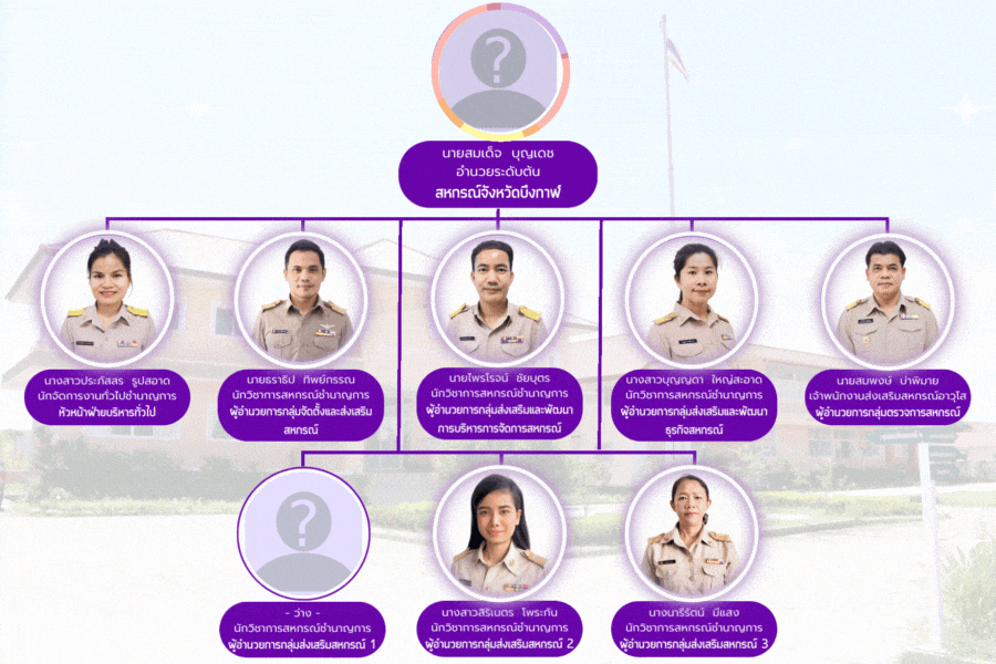 Organization structure