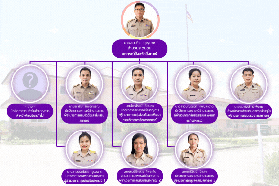 Organization structure