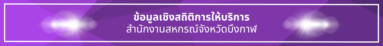 ป้ายชื่อหัวข้อ ข้อมูลเชิงสถิติการให้บริการ