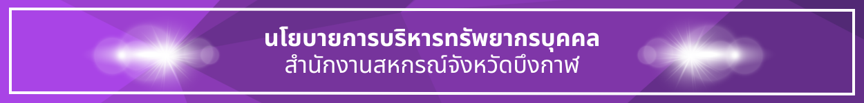 ป้ายชื่อหัวข้อ นโยบายการบริหารทรัพยากรบุคคล