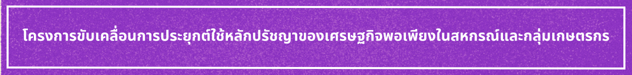 ป้ายชื่อหัวข้อ ปรัชญาเศรษฐกิจพอเพียง