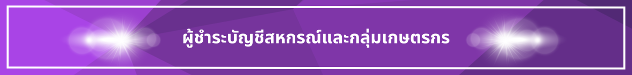 ชื่อชื่อหัวข้อผู้ชำระบัญชี