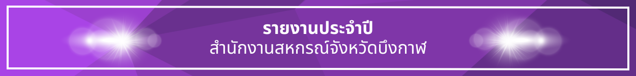 ป้ายชื่อหัวข้อ รายงานประจำปี