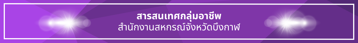 ป้ายชื่อหัวข้อ สารสนเทศกลุ่มอาชีพ