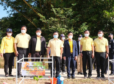 ร่วมกิจกรรมวันรักต้นไม้ประจำปีของชาติ พ.ศ. 2565 พารามิเตอร์รูปภาพ 11