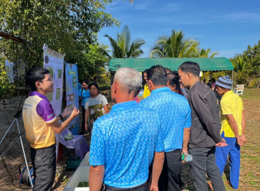 ร่วมงานและให้บริการด้านการเกษตรในงานวันถ่ายทอดเทคโนโลยีเพื่อเริ่มต้นฤดูกาลผลิตใหม่ (Field day) ปี 2567 ... พารามิเตอร์รูปภาพ 13