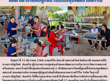 ติดตามเร่งรัดหนี้ลูกหนี้ ... พารามิเตอร์รูปภาพ 4