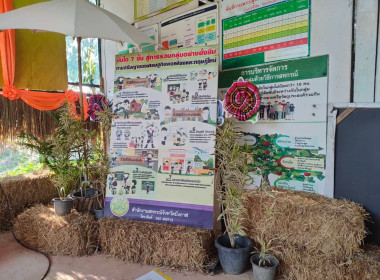 ร่วมกิจกรรมนำร่องสาธิตเทคโนโลยีการจัดการเศษวัสดุเหลือใช้ทางการเกษตรทดแทนการเผา ภายใต้โครงการส่งเสริมการหยุดเผาในพื้นที่การเกษตรประจำปี 2567 ... พารามิเตอร์รูปภาพ 12