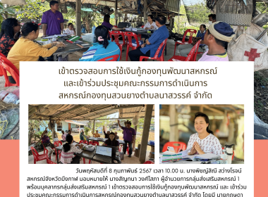 ตรวจสอบการใช้เงินกู้กองทุนพัฒนาสหกรณ์ ... พารามิเตอร์รูปภาพ 6