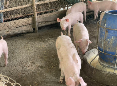 ติดตาม เร่งรัดหนี้เงินกองทุนสงเคราะห์เกษตรกร ... พารามิเตอร์รูปภาพ 3