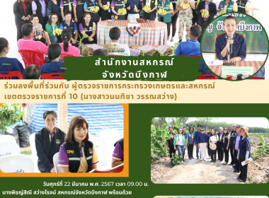 ร่วมลงพื้นที่ติดตามงานตามนโยบายสำคัญของกระทรวงเกษตรและสหกรณ์ นโยบายการผลักดันสินค้าเกษตรมูลค่าสูง 1 ท้องถิ่น 1 สินค้าเกษตรมูลค่าสูงจังหวัดบึงกาฬ ... พารามิเตอร์รูปภาพ 1