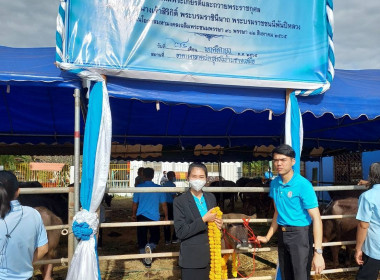 ร่วมงานพิธีมอบกรรมสิทธิ์และไถ่ชีวิตโค-กระบือ ... พารามิเตอร์รูปภาพ 4