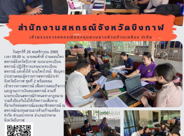 ตรวจการสหกรณ์กองทุนสวนยางห้วยก้านเหลือง จำกัด พารามิเตอร์รูปภาพ 5