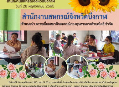 เข้าแนะนำ ตรวจเยี่ยมสมาชิกสหกรณ์กองทุนสวนยางตำบลไคสี จำกัด พารามิเตอร์รูปภาพ 7