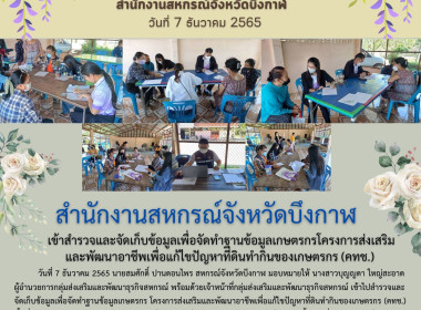 สำรวจและจัดเก็บข้อมูลเพื่อจัดทำฐานข้อมูลเกษตรกร ... พารามิเตอร์รูปภาพ 8