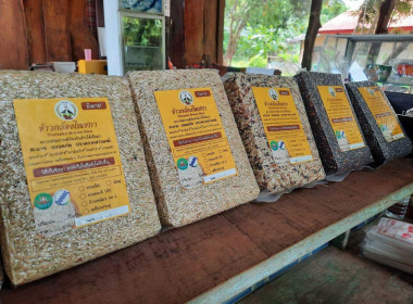 กลุ่มส่งเสริมและพัฒนาธุรกิจสหกรณ์ ... พารามิเตอร์รูปภาพ 6