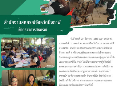 ตรวจการสหกรณ์การเกษตรผู้ปลูกปาล์มน้ำมันและยางพาราศรีวิไล ... พารามิเตอร์รูปภาพ 4