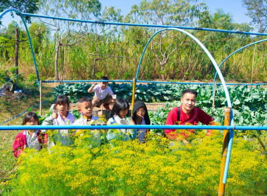 ส่งเสริมกิจกรรมสหกรณ์นักเรียนในโรงเรียนตำรวจตระเวนชายแดนบ้านห้วยดอกไม้ ตำบลวิศิษฐ์ และโรงเรียนตำรวจตระเวนชายแดนบ้านหนองตะไก้ ตำบลโป่งเปือย อำเภอเมืองบึงกาฬ จังหวัดบึงกาฬ ... พารามิเตอร์รูปภาพ 19