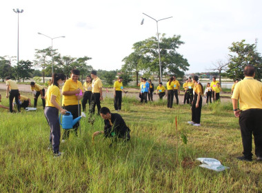 ฝ่ายบริหารทั่วไป ... พารามิเตอร์รูปภาพ 21