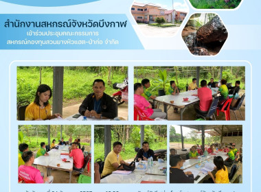 กลุ่มส่งเสริมสหกรณ์ 2 ... พารามิเตอร์รูปภาพ 6