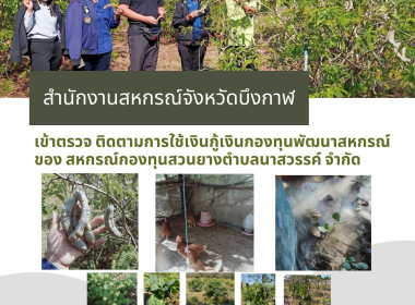 ติดตามการใช้เงินกู้เงินกองทุนพัฒนาสหกรณ์ของ ... พารามิเตอร์รูปภาพ 1