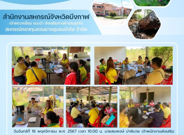 กลุ่มส่งเสริมสหกรณ์ 3 เข้าตรวจเยี่ยม แนะนำ ... พารามิเตอร์รูปภาพ 12