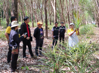 กลุ่มส่งเสริมและพัฒนาธุรกิจสหกรณ์ ... พารามิเตอร์รูปภาพ 2