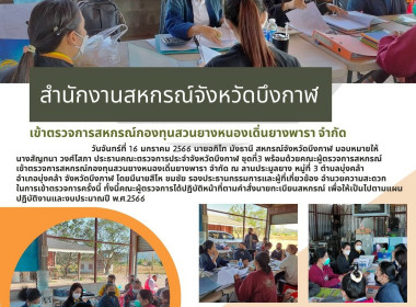ตรวจการสหกรณ์หนองเดิ่นยางพารา จำกัด พารามิเตอร์รูปภาพ 1