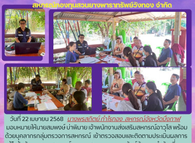 กลุ่มตรวจการสหกรณ์ ... พารามิเตอร์รูปภาพ 4
