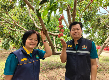 สหกรณ์จังหวัดบึงกาฬ ... พารามิเตอร์รูปภาพ 10