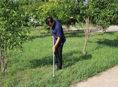 ร่วมกิจกรรมทำความสะอาด (Big Cleaning Day) พารามิเตอร์รูปภาพ 1