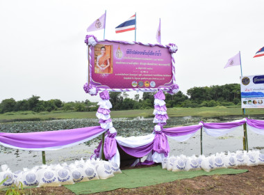 สหกรณ์จังหวัดบึงกาฬ ร่วมพิธีปล่อยพันธุ์สัตว์น้ำ ... พารามิเตอร์รูปภาพ 4