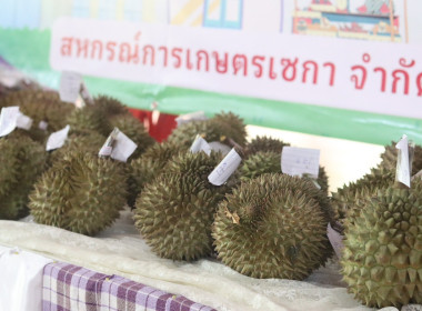 สำนักงานสหกรณ์จังหวัดบึงกาฬ จัดงาน 7 มิถุนายน ... พารามิเตอร์รูปภาพ 42