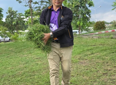 กลุ่มจัดตั้งและส่งเสริมสหกรณ์ ... พารามิเตอร์รูปภาพ 1