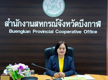 สหกรณ์จังหวัดบึงกาฬ ... พารามิเตอร์รูปภาพ 8