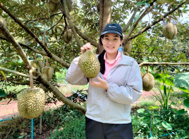 กลุ่มส่งเสริมและพัฒนาธุรกิจสหกรณ์ ... พารามิเตอร์รูปภาพ 2