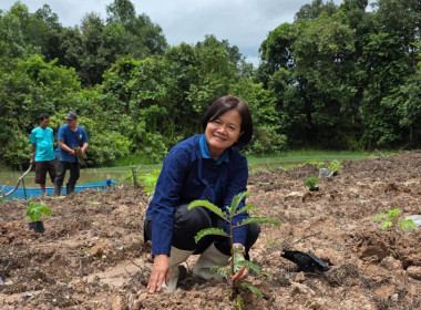 สหกรณ์จังหวัดบึงกาฬ ... พารามิเตอร์รูปภาพ 2