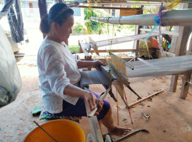 กลุ่มส่งเสริมและพัฒนาธุรกิจสหกรณ์ ... พารามิเตอร์รูปภาพ 7