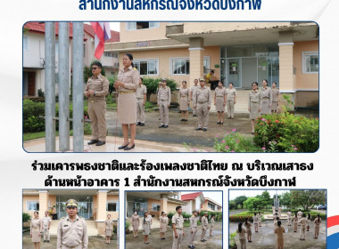 สำนักงานสหกรณ์จังหวัดบึงกาฬ ... พารามิเตอร์รูปภาพ 12