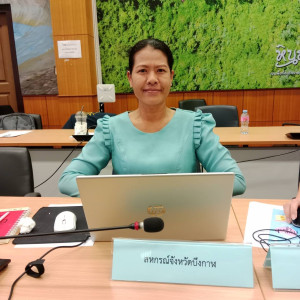 ฝ่ายบริหารทั่วไป ... พารามิเตอร์รูปภาพ 1