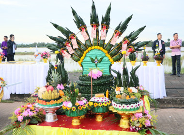 สหกรณ์จังหวัดบึงกาฬ ... พารามิเตอร์รูปภาพ 6