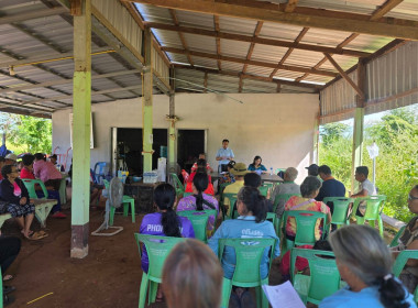 กลุ่มส่งเสริมสหกรณ์ 3 ... พารามิเตอร์รูปภาพ 2