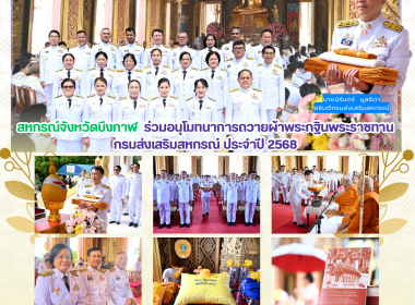 สหกรณ์จังหวัดบึงกาฬ ... พารามิเตอร์รูปภาพ 13