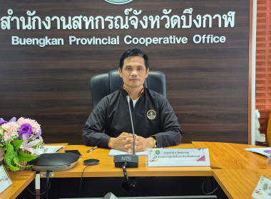 กลุ่มตรวจการสหกรณ์ ... พารามิเตอร์รูปภาพ 1