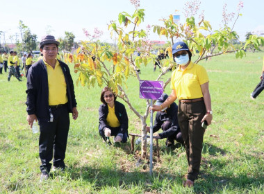 สหกรณ์จังหวัดบึงกาฬ พร้อมกลุ่มตรวจการสหกรณ์ ร่วมกิจกรรม ... พารามิเตอร์รูปภาพ 8