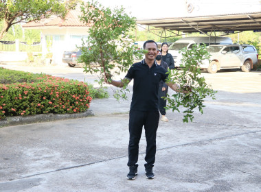 สหกรณ์จังหวัดบึงกาฬ ... พารามิเตอร์รูปภาพ 25