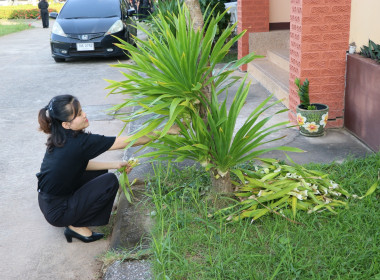 สหกรณ์จังหวัดบึงกาฬ ... พารามิเตอร์รูปภาพ 32