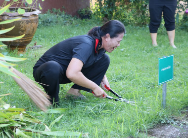 สหกรณ์จังหวัดบึงกาฬ ... พารามิเตอร์รูปภาพ 33