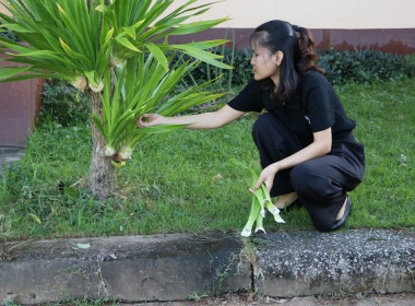 สหกรณ์จังหวัดบึงกาฬ ... พารามิเตอร์รูปภาพ 43