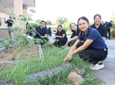 สหกรณ์จังหวัดบึงกาฬ ... พารามิเตอร์รูปภาพ 8